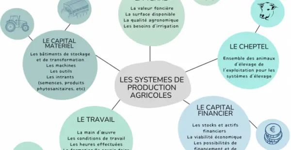 QSN #140 - Le système alimentaire territorial
