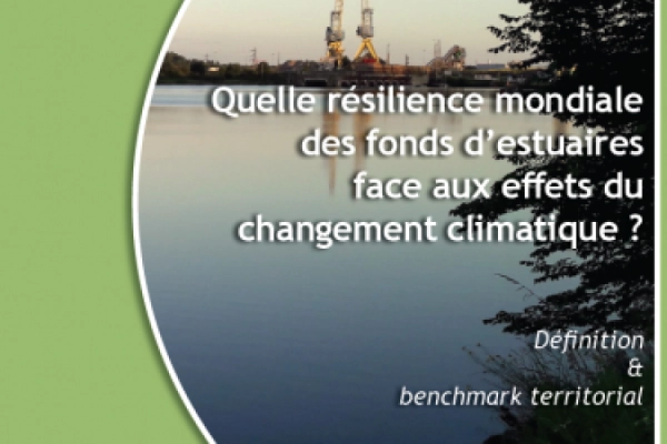Quelle résilience mondiale  des fonds d’estuaires  face aux effets du  changement climatique ?