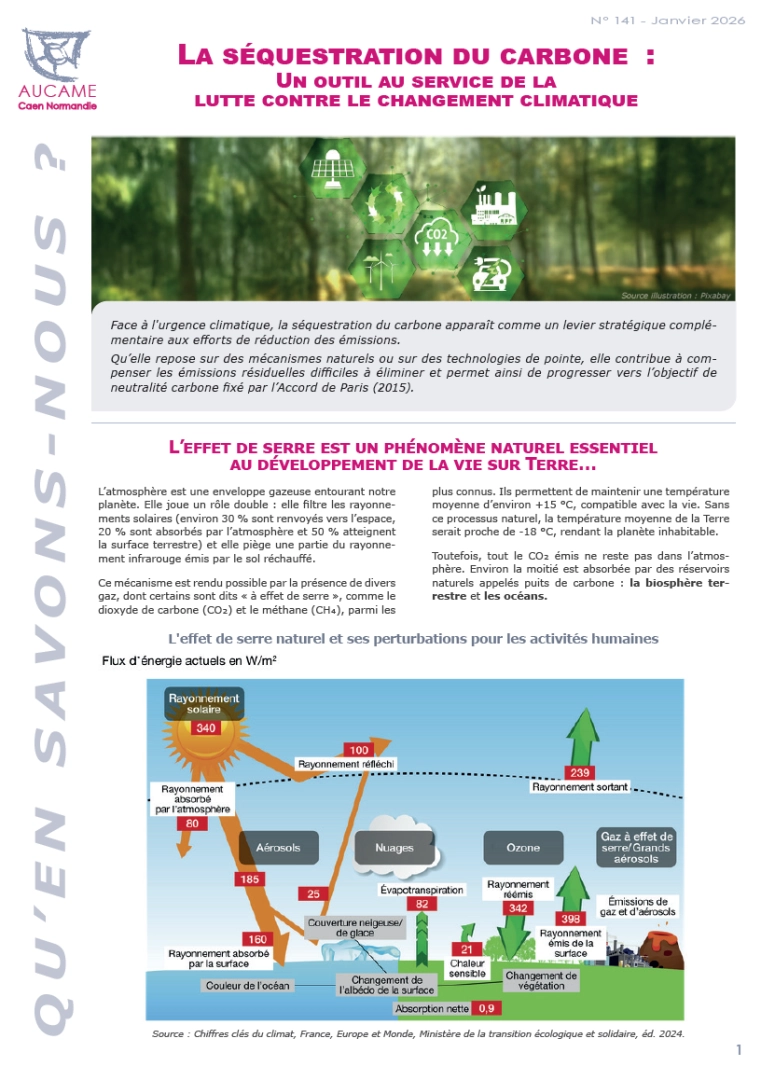 La séquestration du carbone : un outil au service de la lutte contre le changement climatique