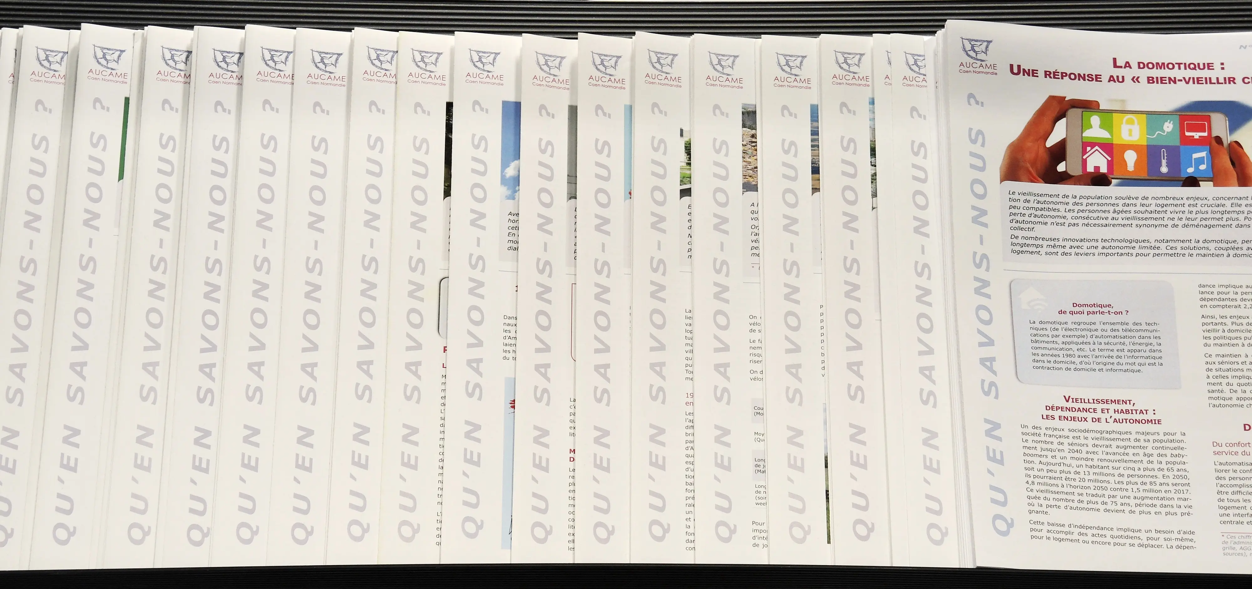 QSN Hors-série - Les QSN, marqueurs des activités de l'agence et des transitions à l’œuvre