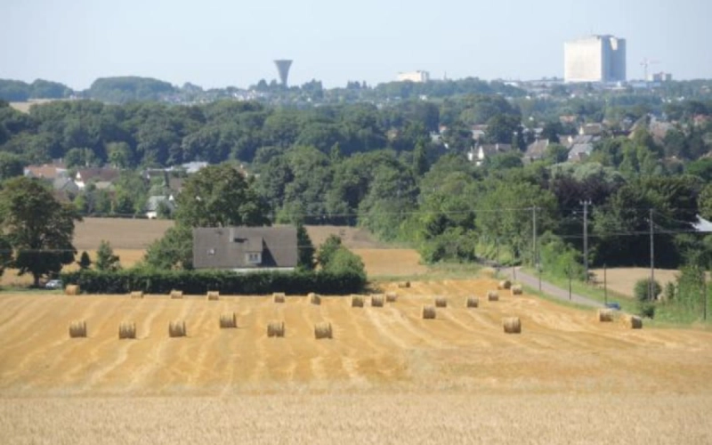 Publications de l'AUCAME sur : Environnement