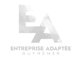 Logo EA Guynemer