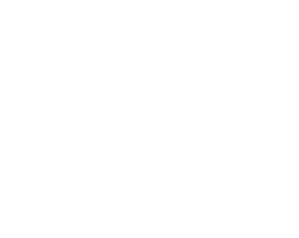 Logo ISPN